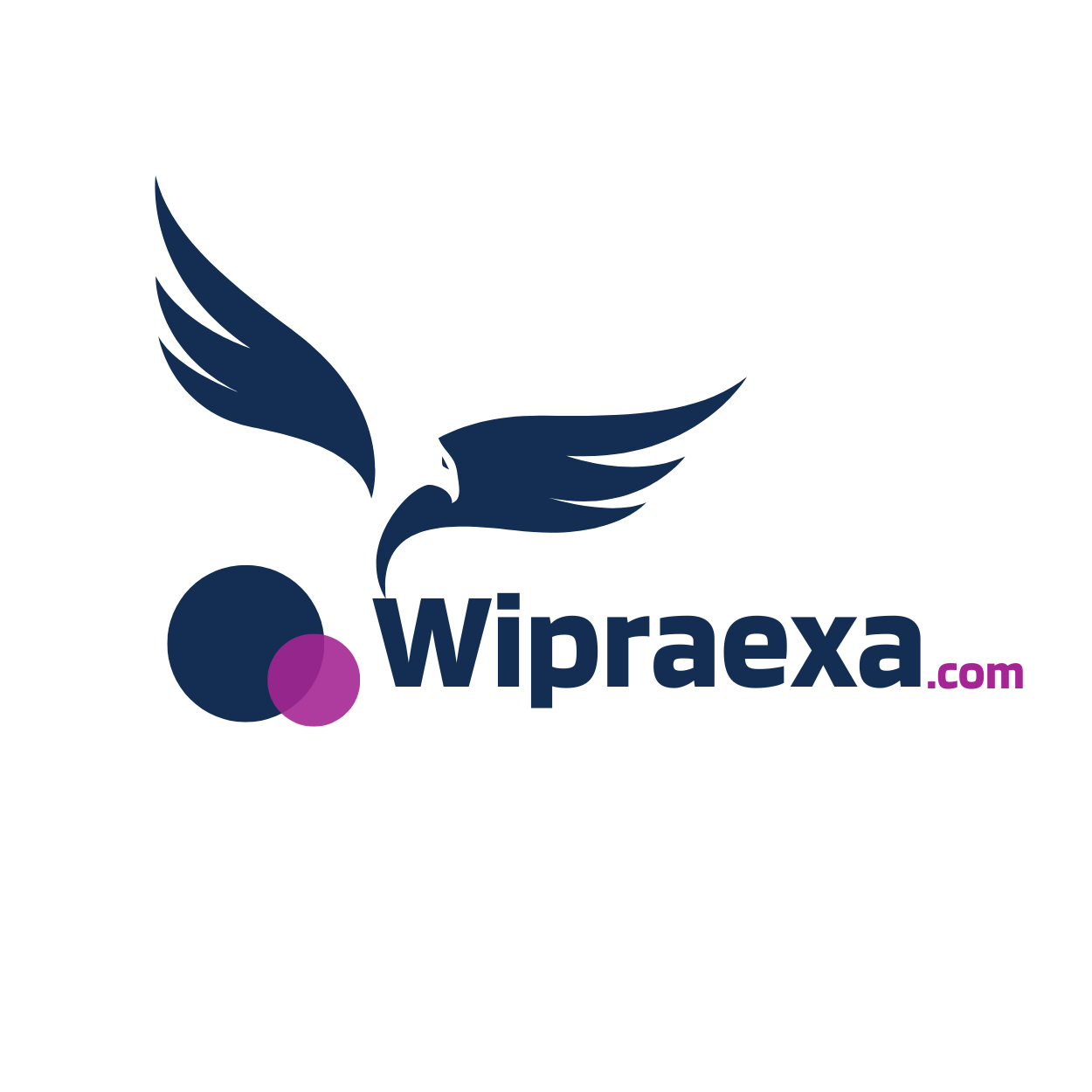 Wipraexa.com